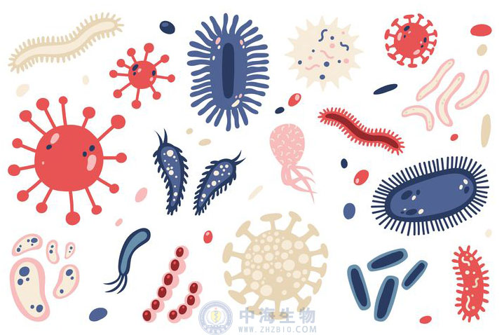 微生物是什么？哪些營養(yǎng)物質(zhì)促進(jìn)微生物生長繁殖？